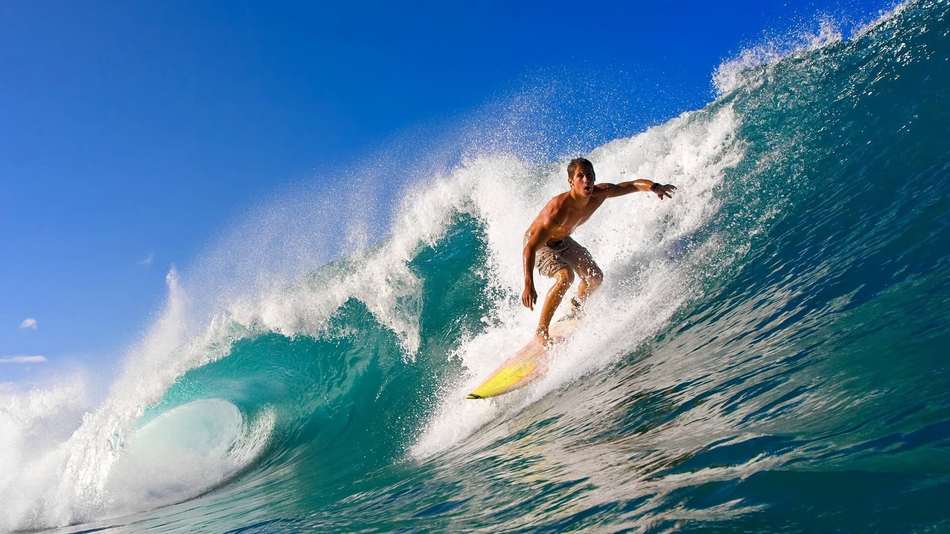 国际赛事成绩排行最新更新，国际赛事中心